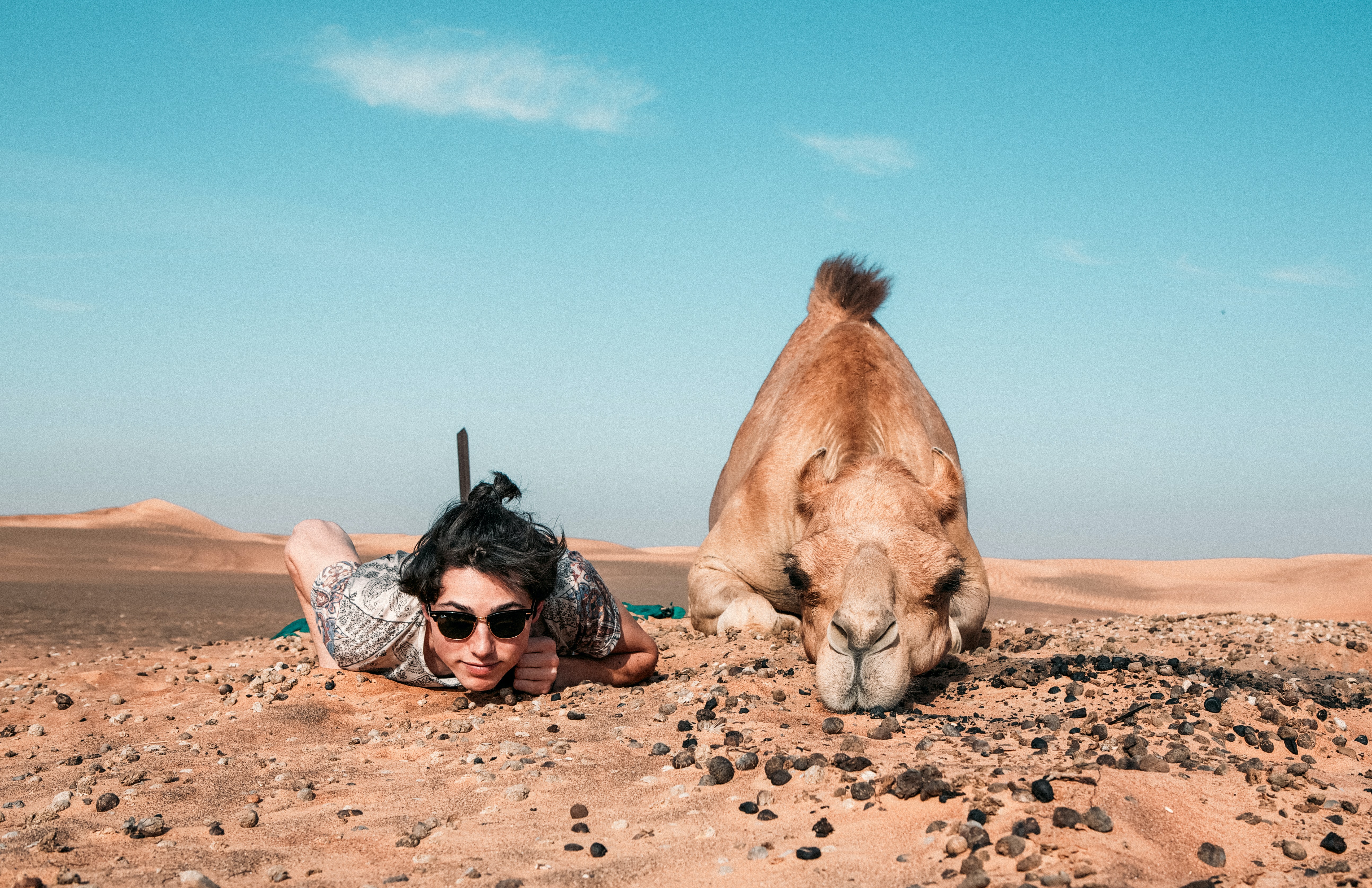 Mann liegt mit Kamel in der Wüste 