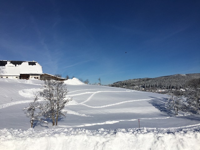 Schneelandschaft