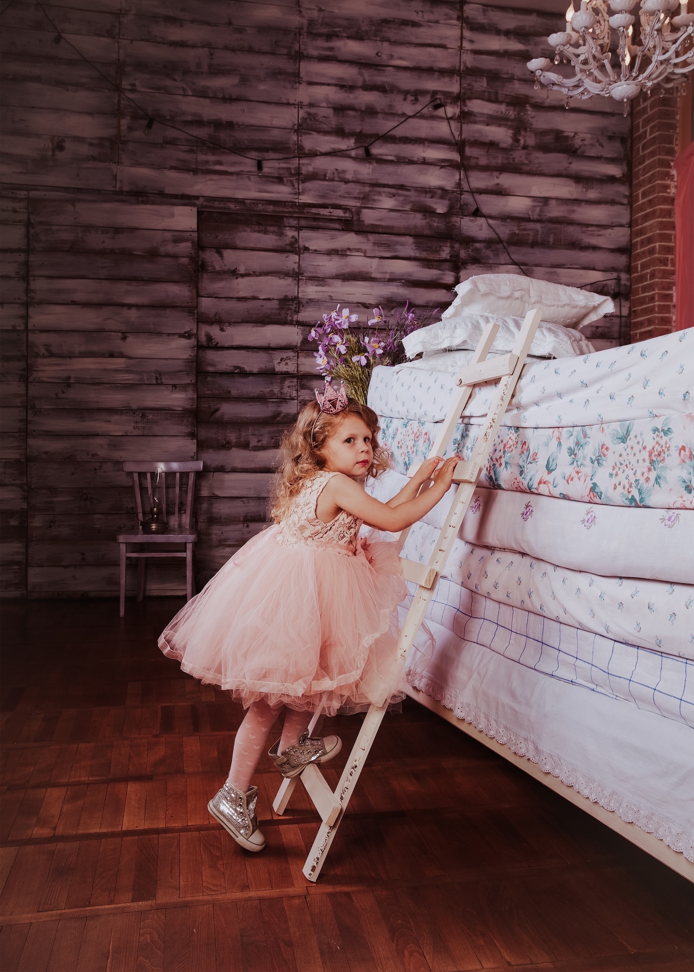 Die Prinzessin auf der Erbse