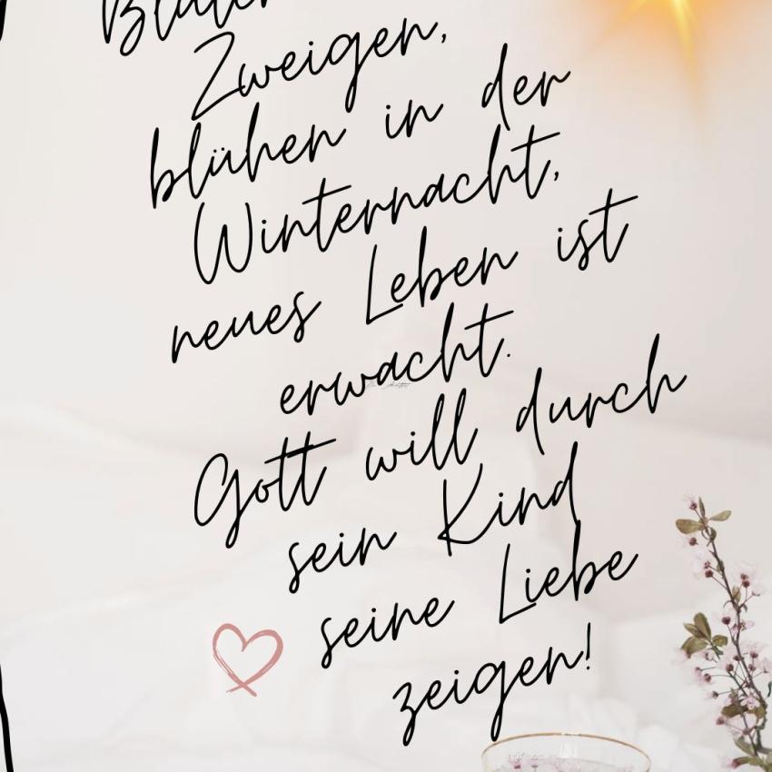 Knospen springen auf
